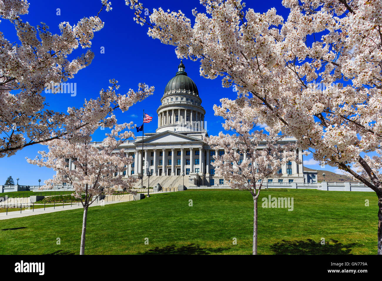 Yoshino Kirschenbaum Bäume in Blüte an der südwestlichen Ecke von Utah State Capitol Building Salt Lake City Utah Stockfoto