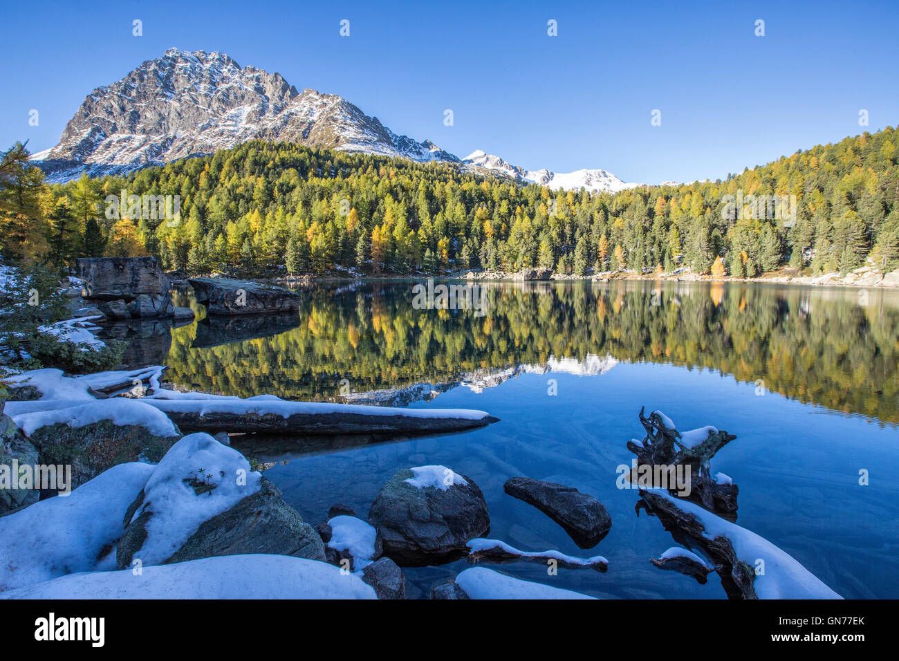 Bunte Wälder spiegelt sich in das blaue Wasser des Sees Saoseo Poschiavo Valley Kanton Graubünden Schweiz Europas Stockfoto