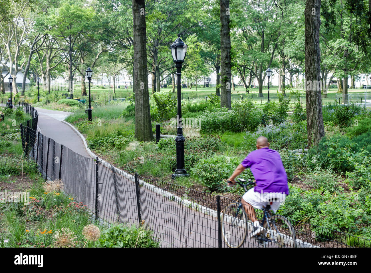 New York City, NY NYC Lower Manhattan, Innenstadt, Battery Park, öffentlicher Park, Garten, Radweg, Schwarzer Erwachsener, Erwachsene, Männer, Reiten, NY160715006 Stockfoto