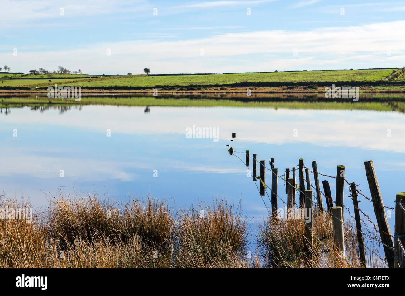 Dozmary Pool auf Bodmin Moor in Cornwall, Großbritannien Stockfoto