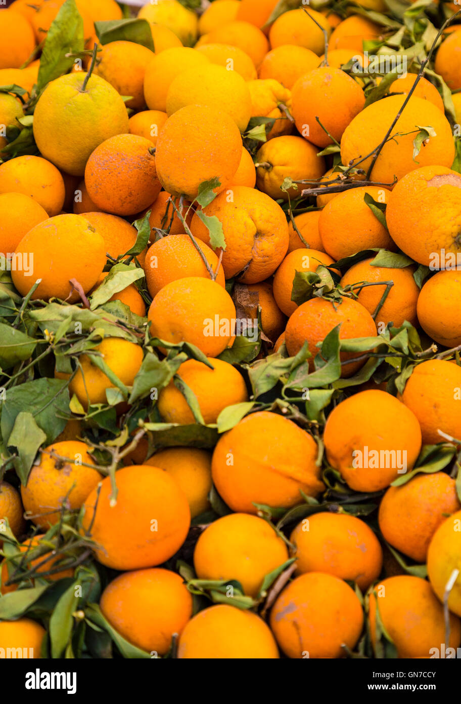 Marokko.  Frisch gepflückten Orangen, Draa Markt, Essaouira Provinz hatte. Stockfoto