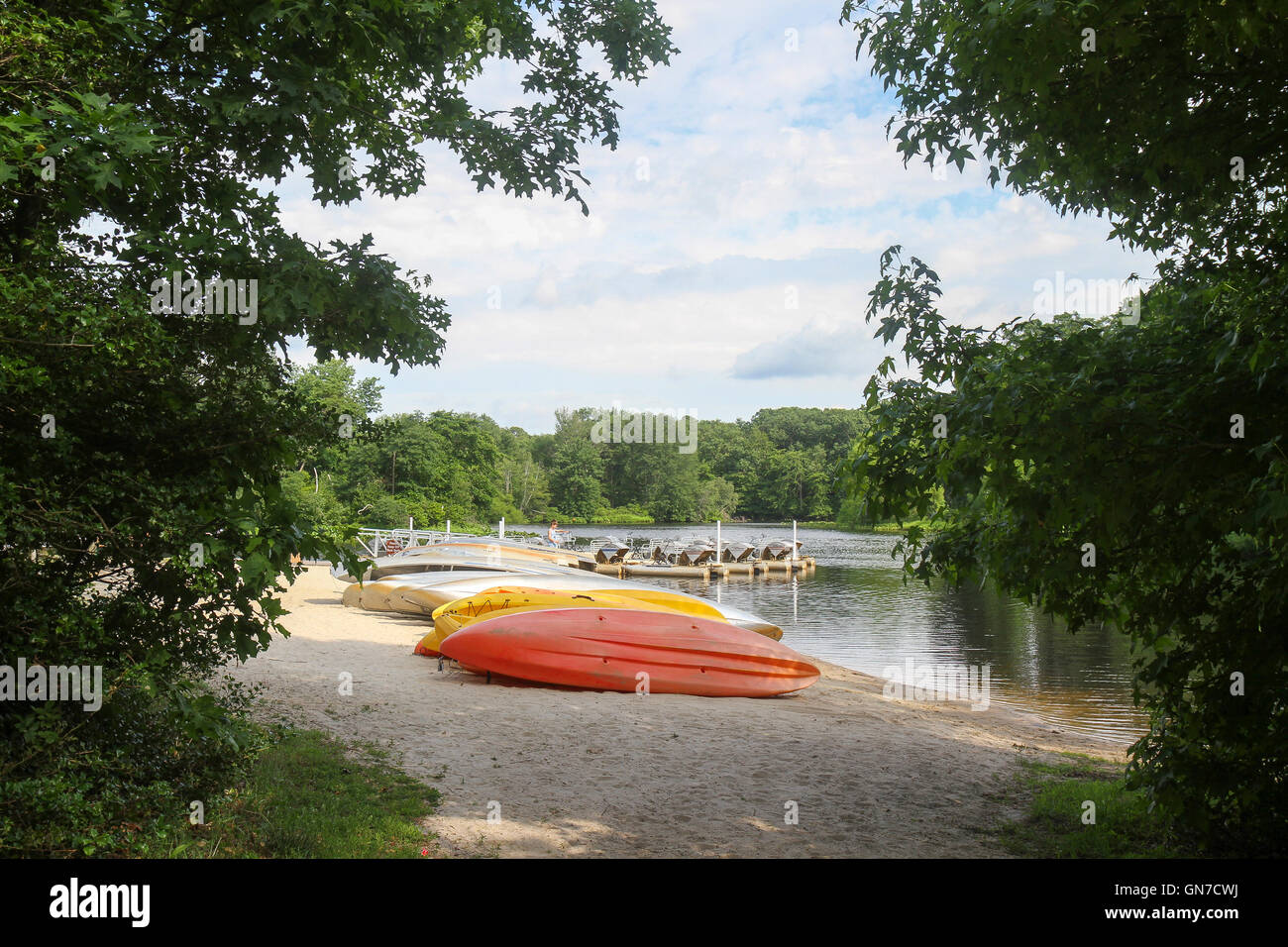 Türkei-Sumpf-Park, Freehold, New Jersey, USA, Nordamerika Stockfoto