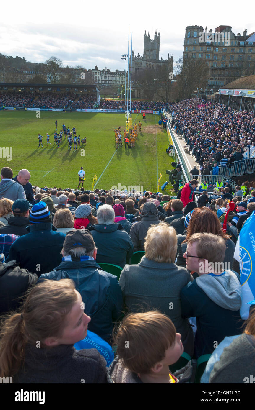 Professionelle Rugby-Union am Rec in Bath, Somerset an einem Spieltag, England, UK Stockfoto