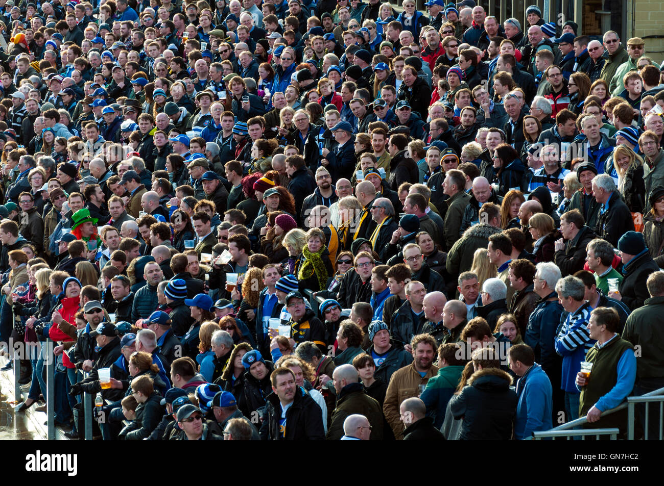 Unterstützer der professionelle Rugby-Union am Rec in Bath, Somerset an einem Spieltag, England, UK Stockfoto