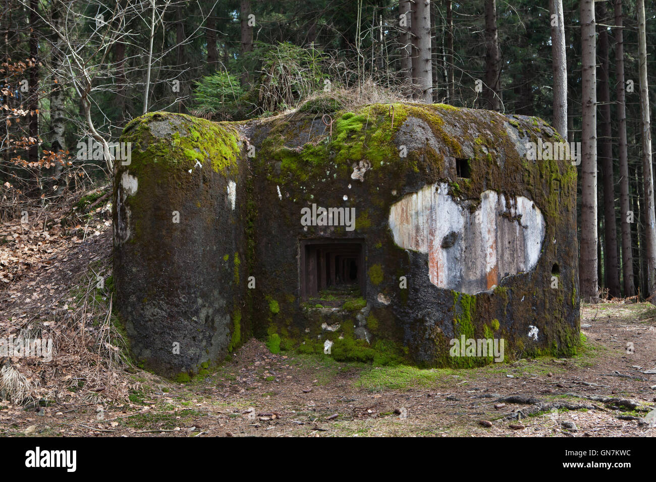 Verlassene Bunker Modell 37 einst ein Teil der tschechoslowakischen Grenzanlagen befindet sich auf der Straße zu dem Dorf Horni Svetla in der Nähe von Jiretin Pod Jedlovou in Nordböhmen, Tschechien. Das Befestigungssystem der tschechoslowakischen Grenze entstand von 1935 bis 1938 als eine defensive Maßnahme gegen die steigende Bedrohung durch Nazi-Deutschland. Stockfoto