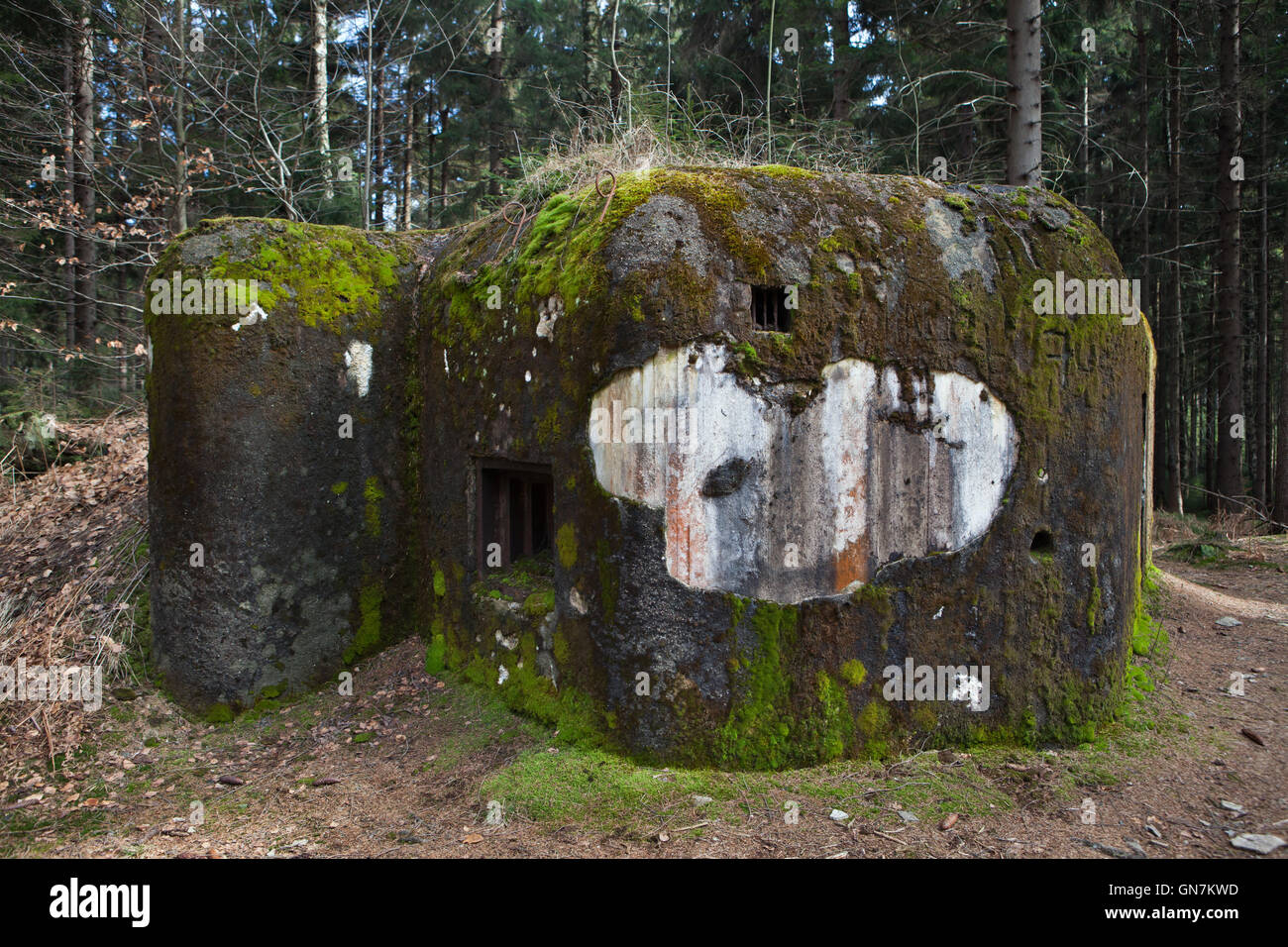 Verlassene Bunker Modell 37 einst ein Teil der tschechoslowakischen Grenzanlagen befindet sich auf der Straße zu dem Dorf Horni Svetla in der Nähe von Jiretin Pod Jedlovou in Nordböhmen, Tschechien. Das Befestigungssystem der tschechoslowakischen Grenze entstand von 1935 bis 1938 als eine defensive Maßnahme gegen die steigende Bedrohung durch Nazi-Deutschland. Stockfoto