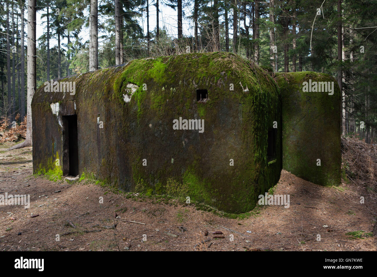 Verlassene Bunker Modell 37 einst ein Teil der tschechoslowakischen Grenzanlagen befindet sich auf der Straße zu dem Dorf Horni Svetla in der Nähe von Jiretin Pod Jedlovou in Nordböhmen, Tschechien. Das Befestigungssystem der tschechoslowakischen Grenze entstand von 1935 bis 1938 als eine defensive Maßnahme gegen die steigende Bedrohung durch Nazi-Deutschland. Stockfoto