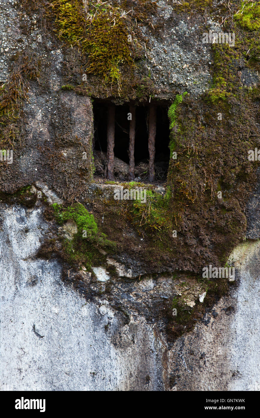 Fenster der verlassenen Bunker Modell 37 einst ein Teil der tschechoslowakischen Grenzanlagen befindet sich auf dem Weg zum Weiler Horni Svetla in der Nähe von Jiretin Pod Jedlovou in Nordböhmen, Tschechien. Das Befestigungssystem der tschechoslowakischen Grenze entstand von 1935 bis 1938 als eine defensive Maßnahme gegen die steigende Bedrohung durch Nazi-Deutschland. Stockfoto