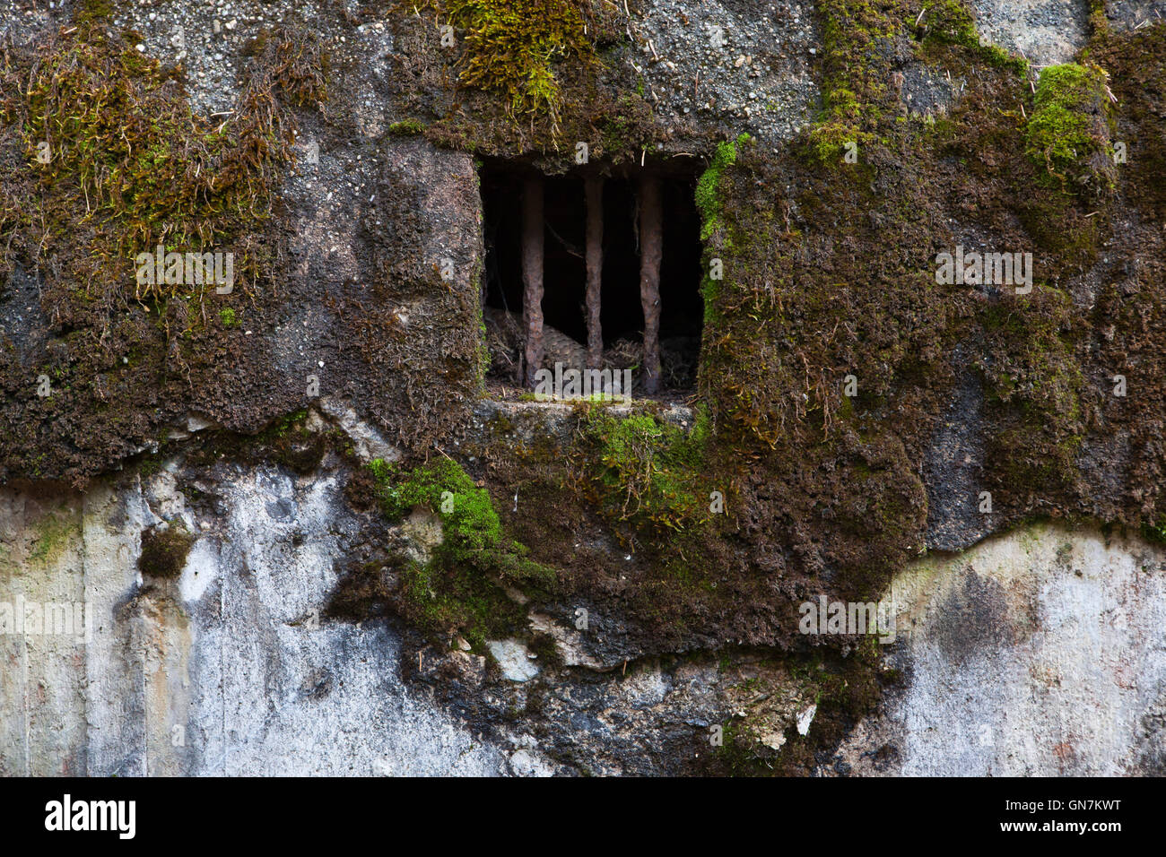 Fenster der verlassenen Bunker Modell 37 einst ein Teil der tschechoslowakischen Grenzanlagen befindet sich auf dem Weg zum Weiler Horni Svetla in der Nähe von Jiretin Pod Jedlovou in Nordböhmen, Tschechien. Das Befestigungssystem der tschechoslowakischen Grenze entstand von 1935 bis 1938 als eine defensive Maßnahme gegen die steigende Bedrohung durch Nazi-Deutschland. Stockfoto
