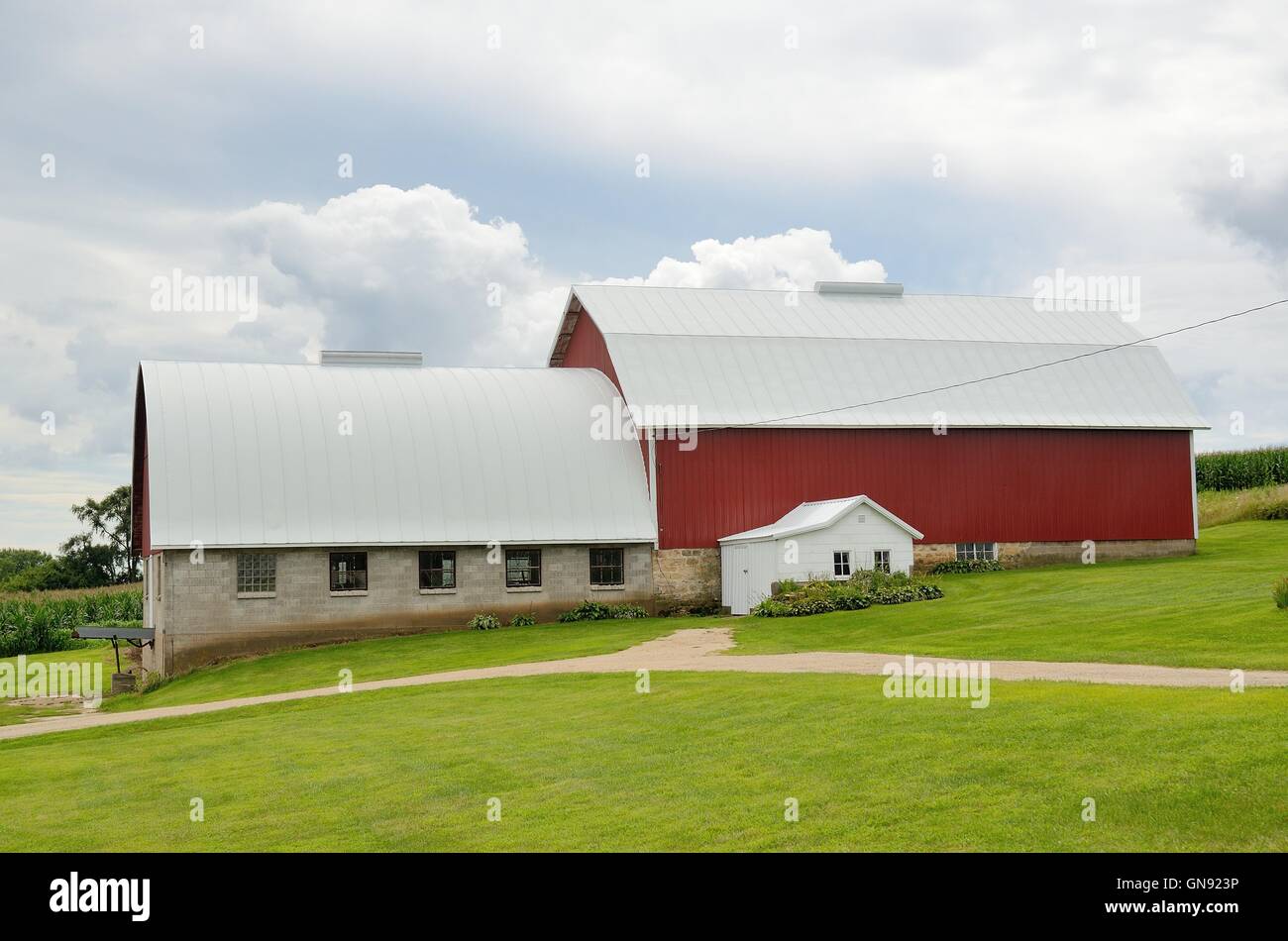 Rote Scheune auf einem Milchviehbetrieb in landwirtschaftlichem Amerika Stockfoto