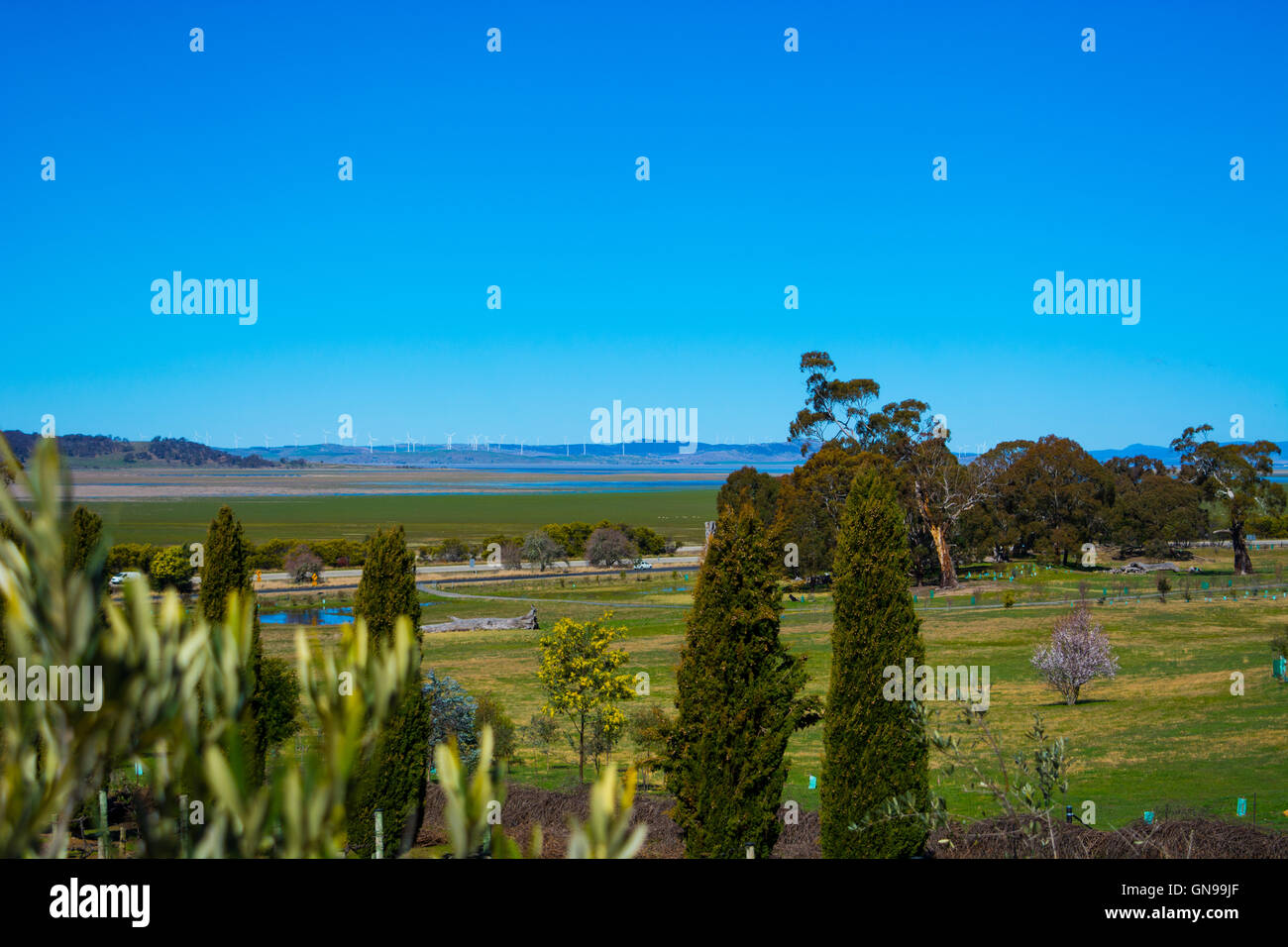 Die Aussicht von Lerida Gutsweine in Richtung Lake George nördlich von Canberra Stockfoto