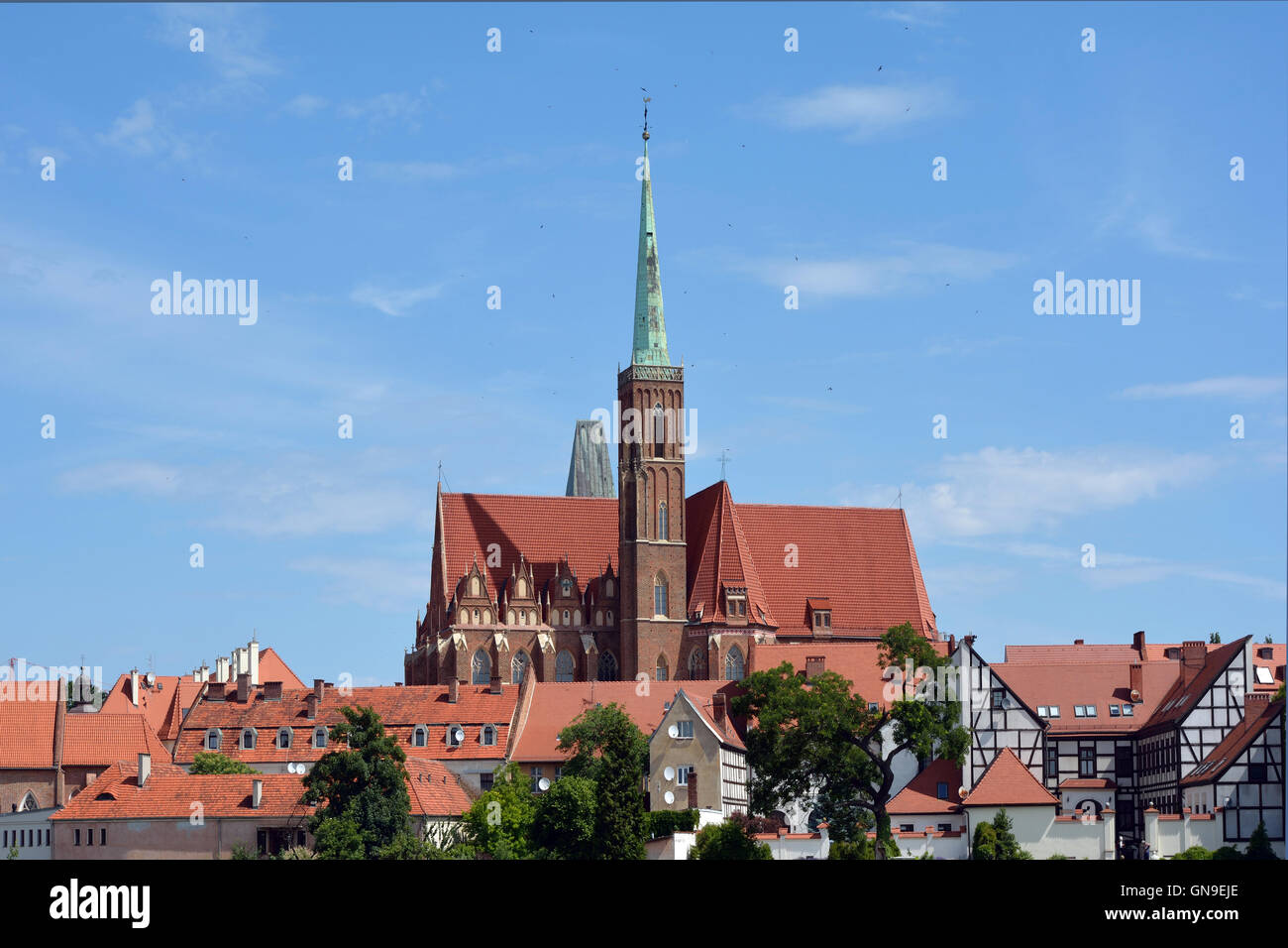 Blick über die Odra, die Dominsel mit der Heiligen Jungfrau Maria Kirche von Wroclaw in Polen. Stockfoto
