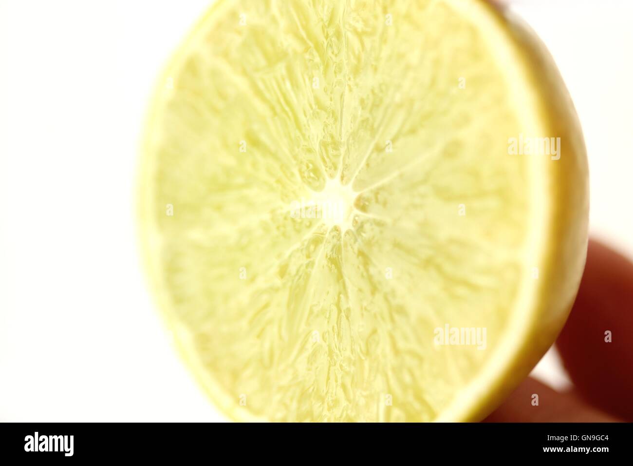 Gelbe Zitrone Stockfoto