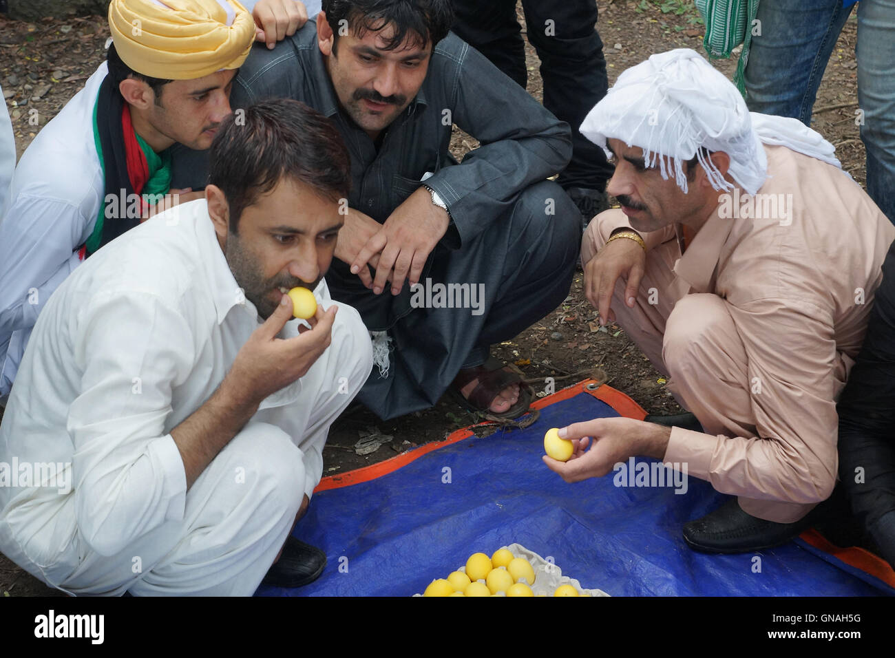 Afghanen (genannt Kabuliwala) bleiben Kolkata spielen Anda Kushti (hartgekochtes Ei Kämpfe) Stockfoto