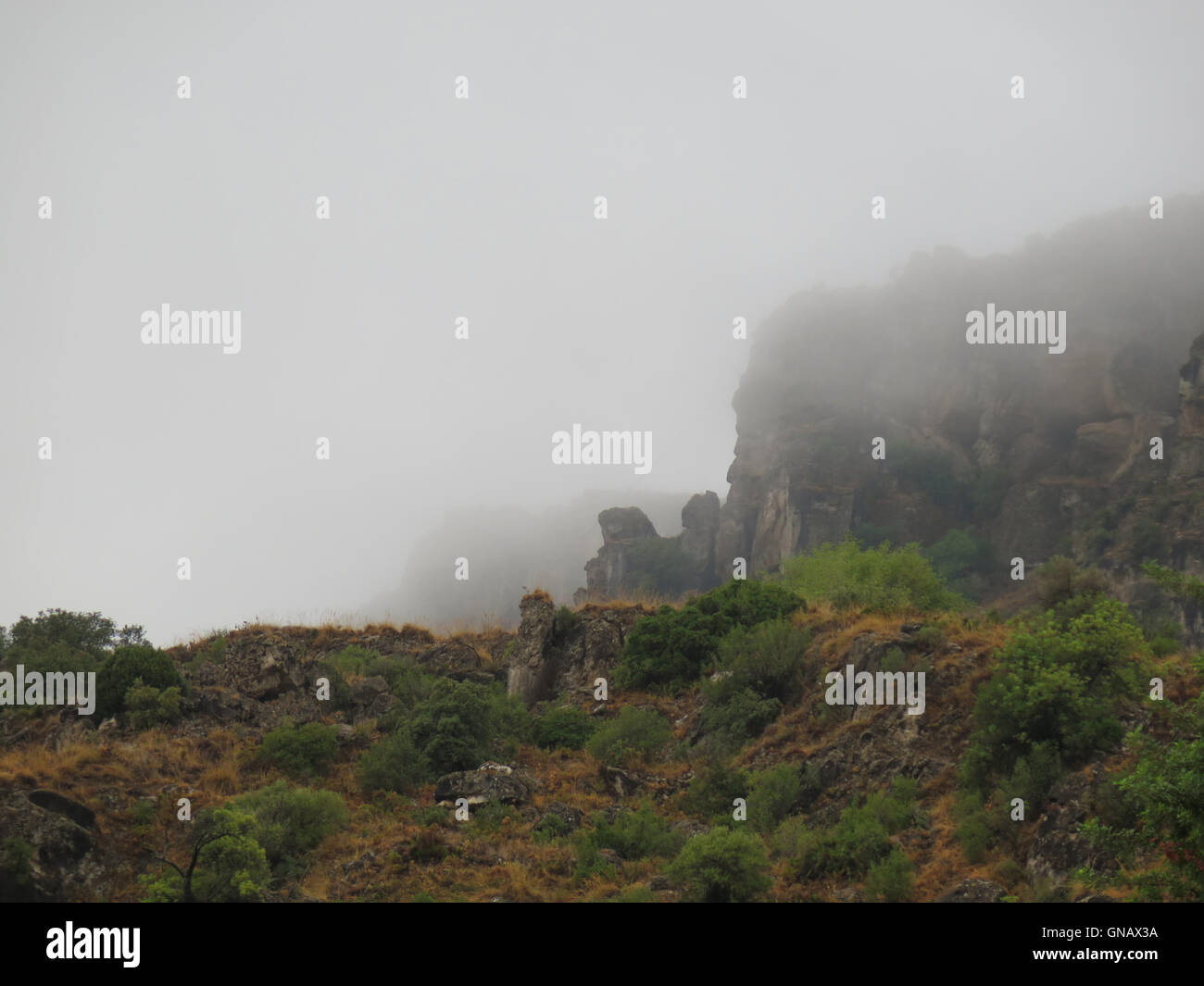 Nebel über einem Feld in den ländlichen Gebieten. Silhouetten der Bäume. Panorama-Aufnahme. Stockfoto