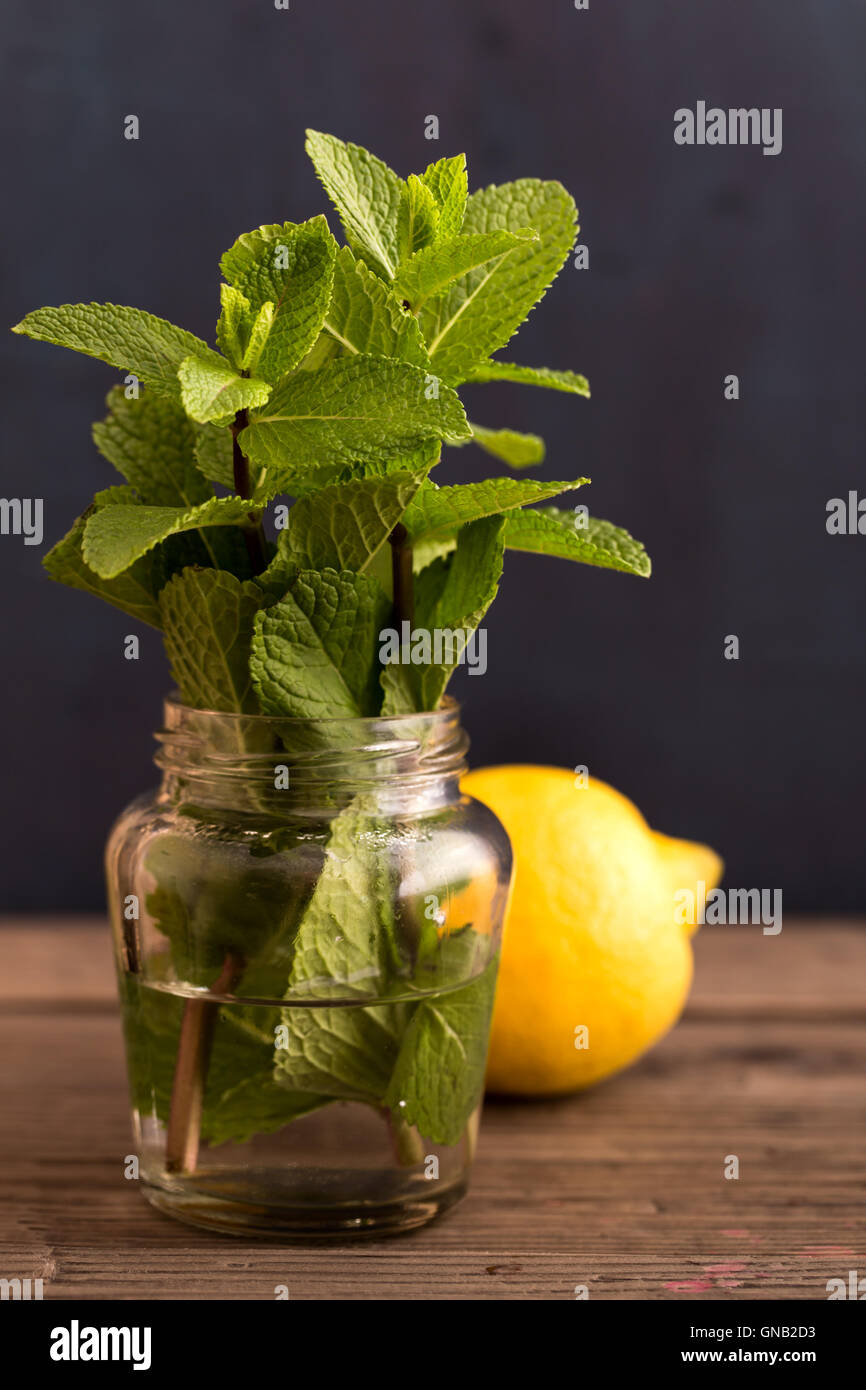 Frische Minze Pflanze und Zitrone Stockfoto