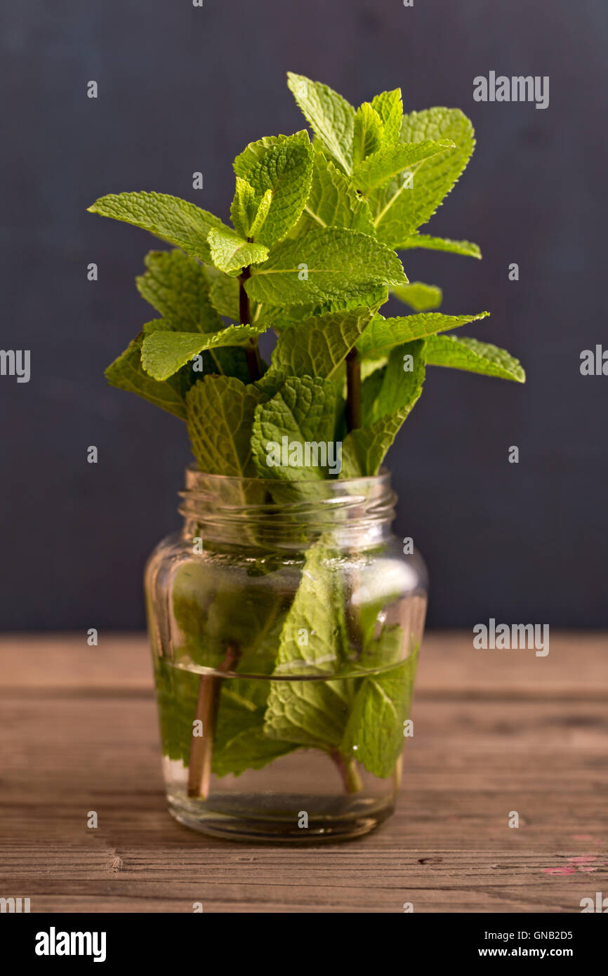 Frische Minze Pflanze in Glas Stockfoto