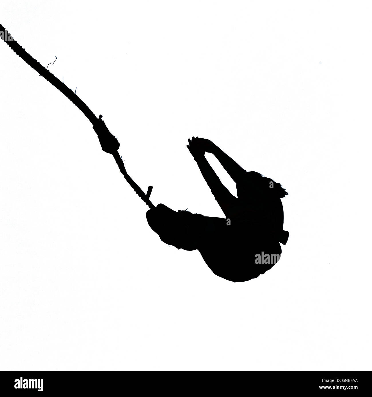 Schwarze Silhouette der Bungee-Jumper auf weiß Stockfoto