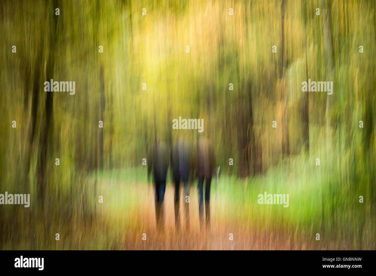 künstlerischen Bild von drei Männern, die zu Fuß durch den Wald Stockfoto