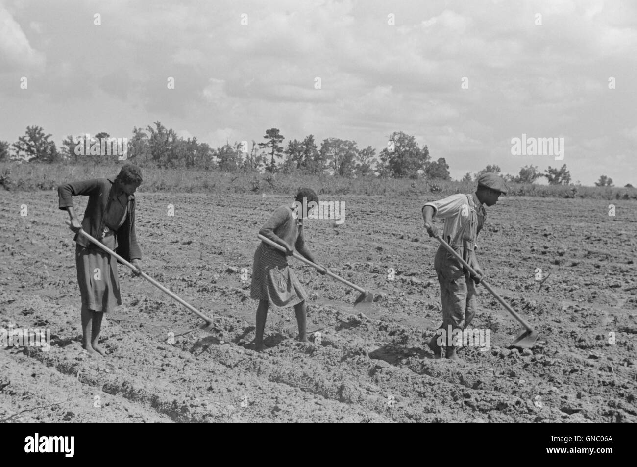 Drei Kinder, hacken, Feld, Flint River Bauernhöfe, Georgia, USA, Marion Post Wolcott für Farm Security Administration, März 1939 Stockfoto