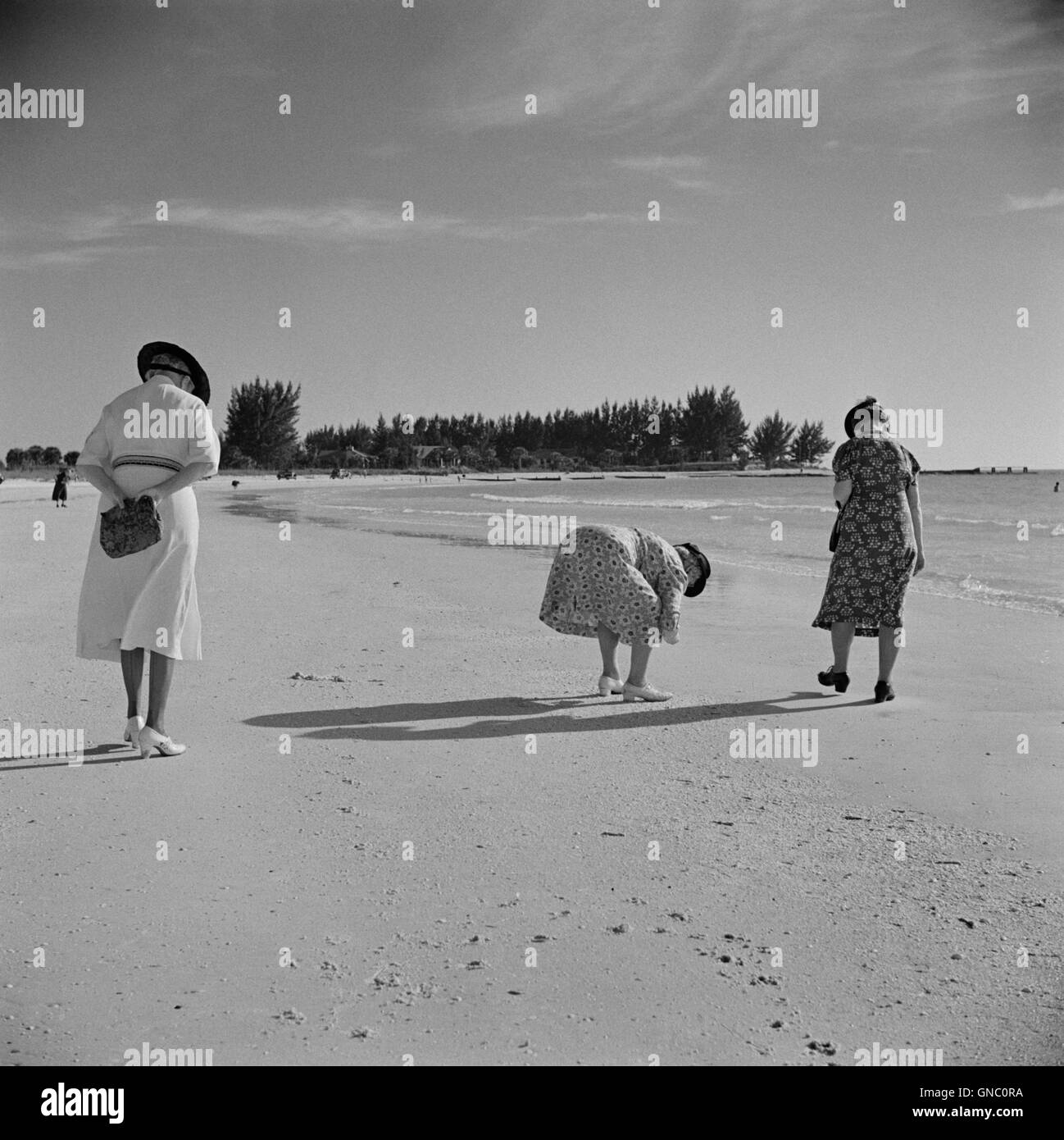 Frauen in Kleidern sammeln Muscheln am Strand, hintere Ansicht, Sarasota, Florida, USA, Marion Post Wolcott für Farm Security Administration, Januar 1941 Stockfoto