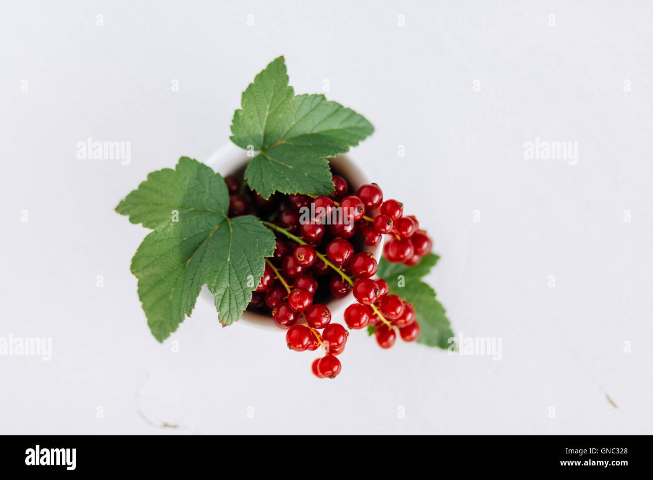 Frische Johannisbeeren in Einer Schale Angerichtet - frische Johannisbeeren in eine Schüssel geben Stockfoto