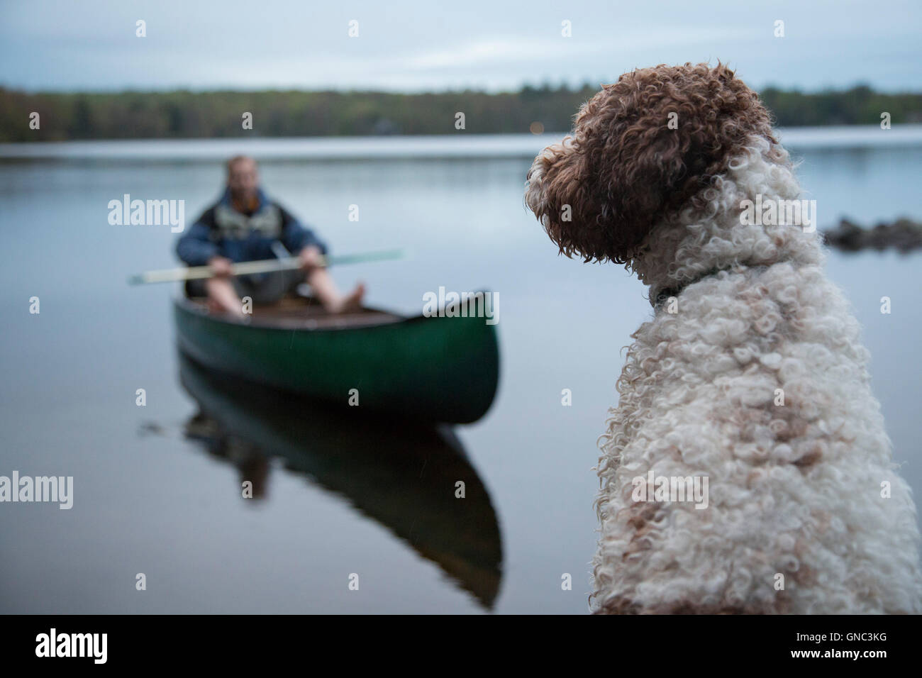 Hundesitting an Deck mit Mann im Kanu auf dem See im Hintergrund Stockfoto