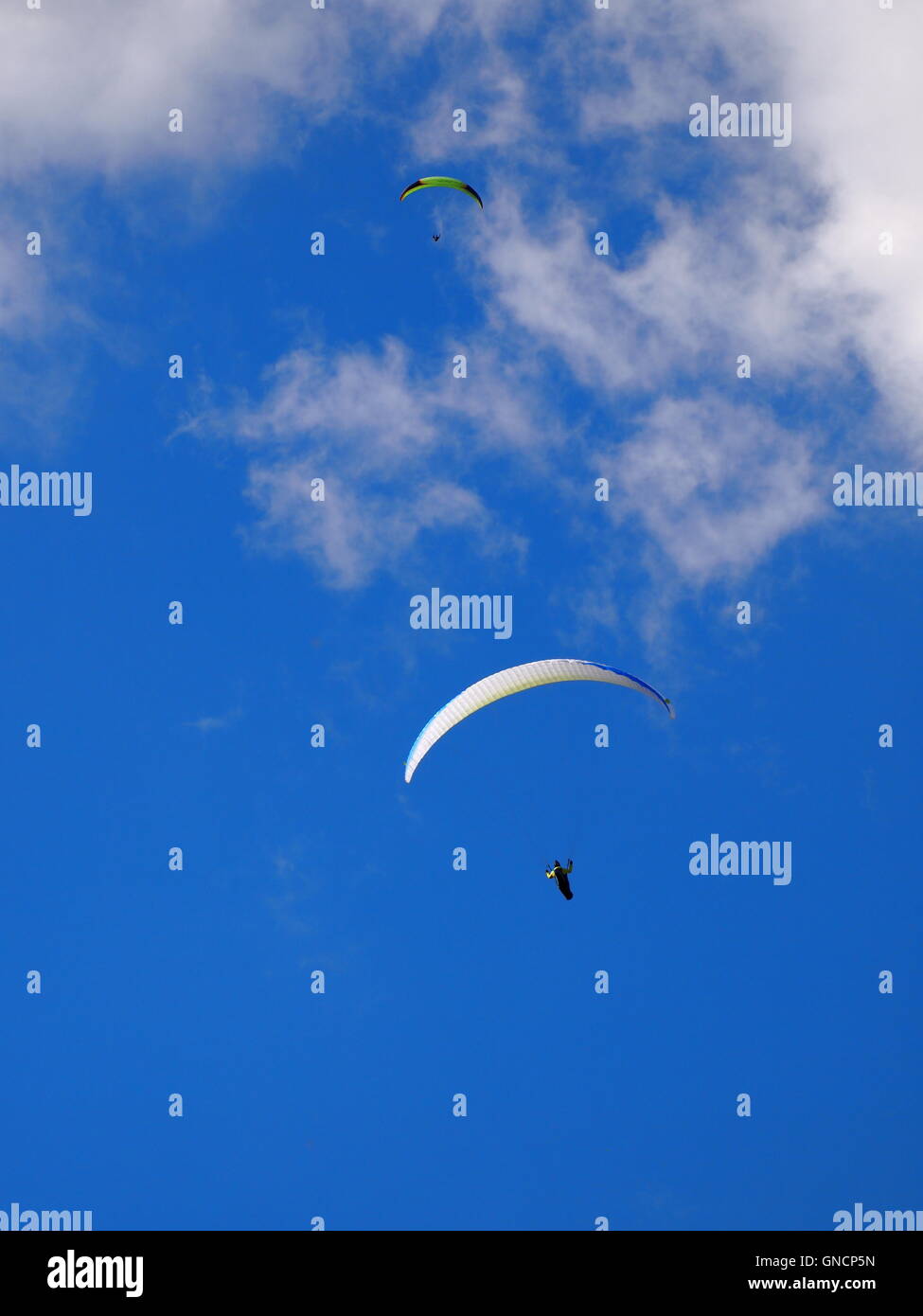 Paragliding, Fallschirmspringen, Segelfliegen und Sommersport im Sommer Stockfoto