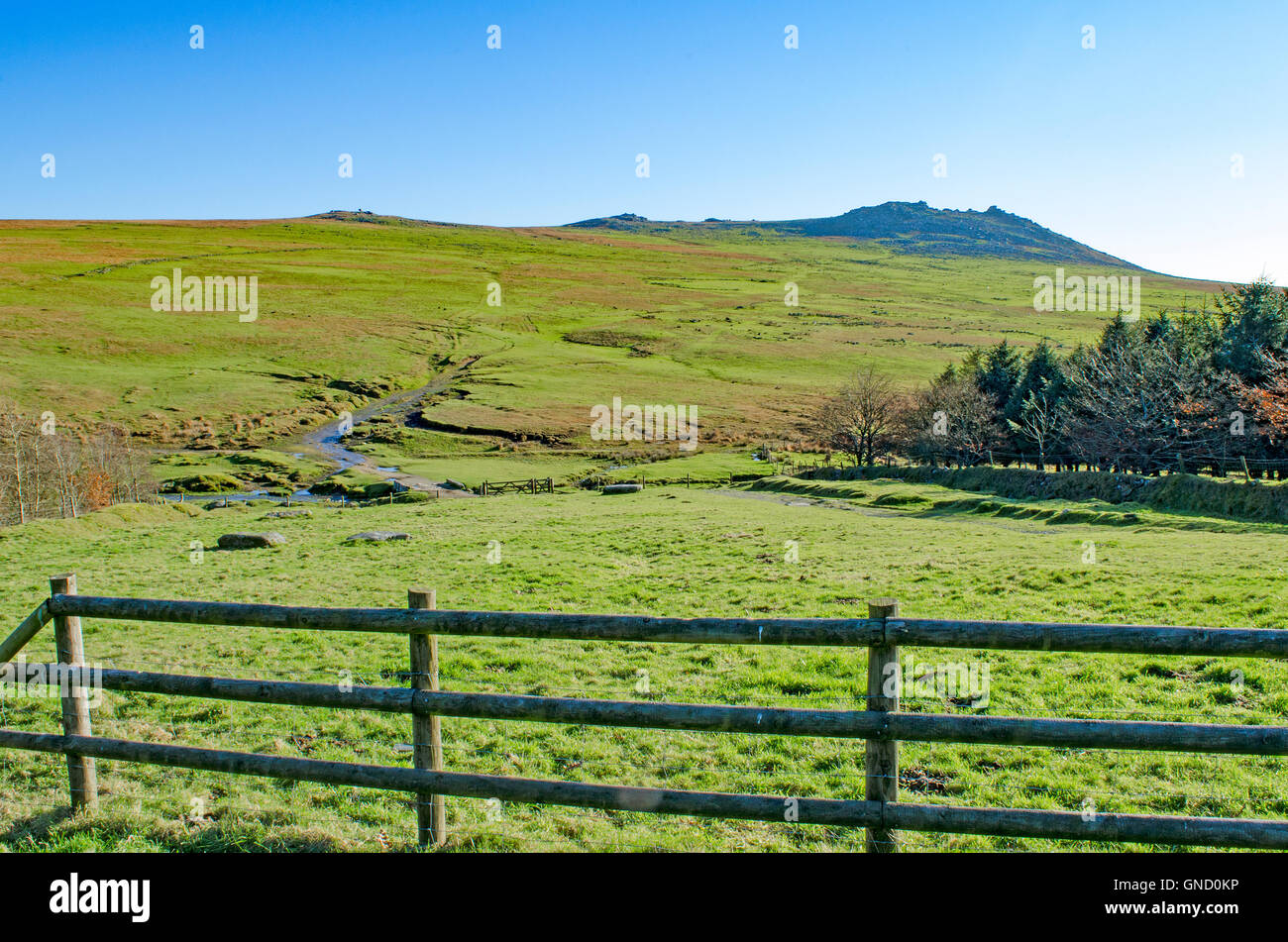 Blick auf grobe Tor auf Bodmin Moor in Cornwall, England, Vereinigtes Königreich Stockfoto