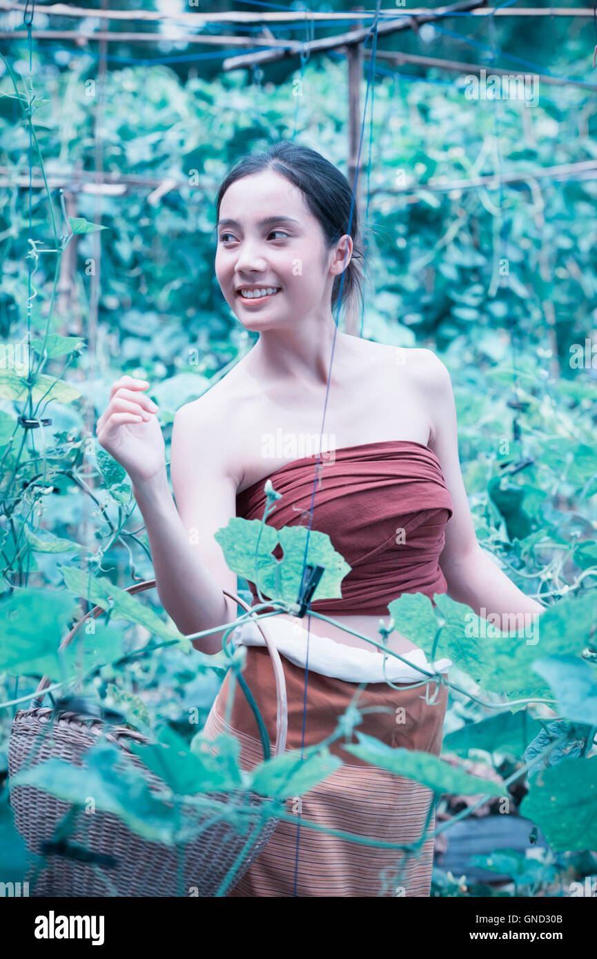 Schöne Frau Asien und Korb Ernte mit Zucchini, Chiangrai Thailand, Vintage-Stil, Hinzufügen von Körnung Stockfoto