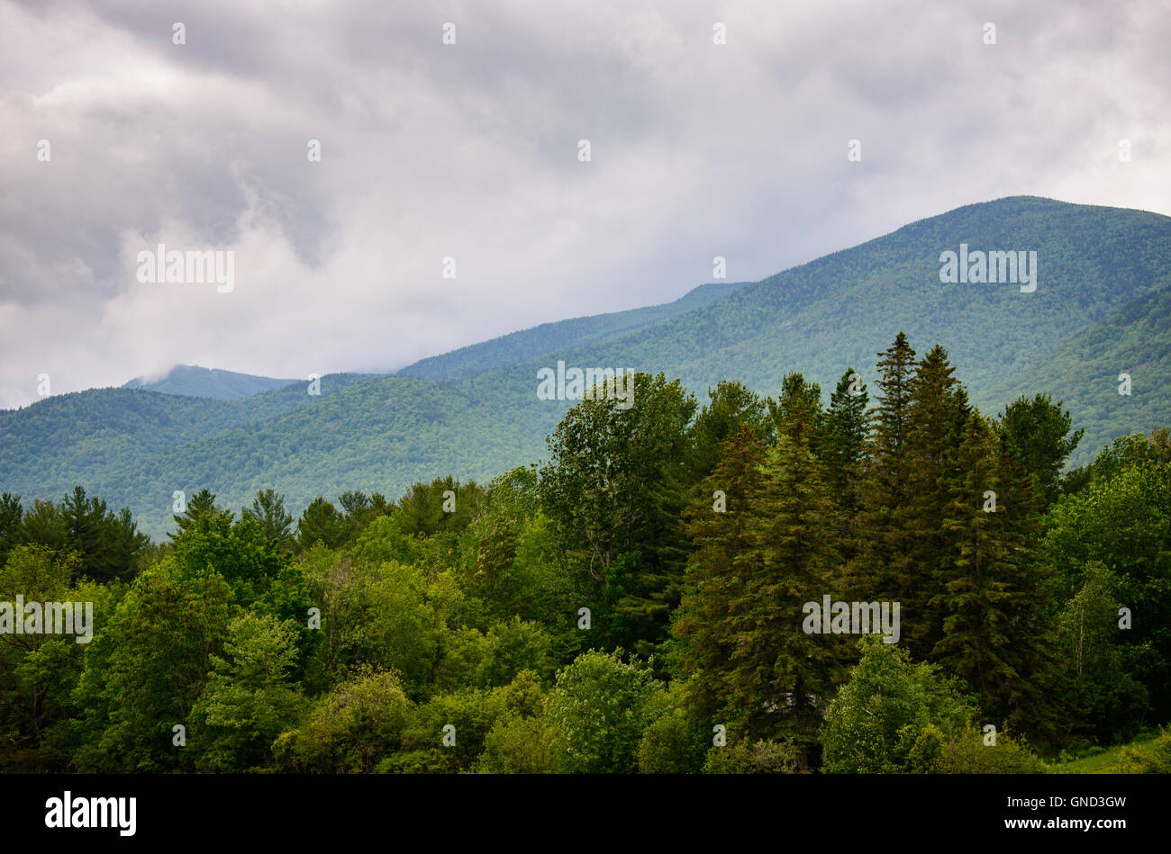 Adirondack Mountains Stockfoto