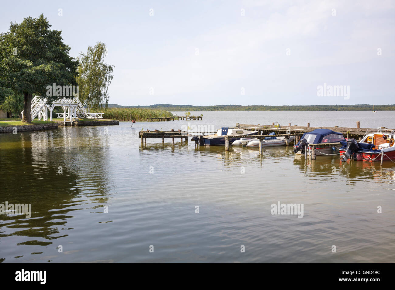 Zierker See mit Weisse Bruecke – weiße Brücke, Neustrelitz, Mecklenburg-Vorpommern, Deutschland Stockfoto