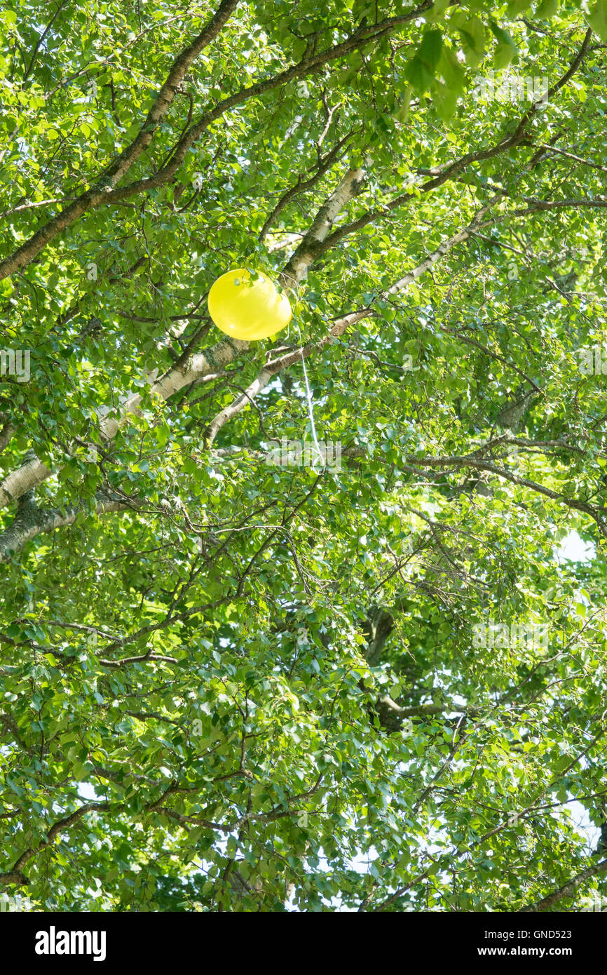 Gelber Ballon gefangen in den Ästen eines Baumes. Konzeptbild der verlorenen Kindheit und Einsamkeit. Stockfoto