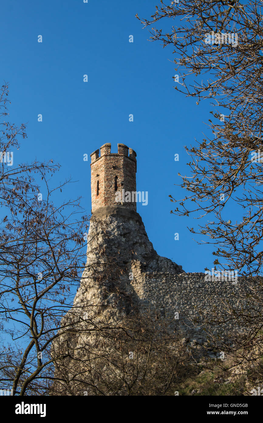 Burg Devin in der Slowakei, als ehemalige Festung auf den Felsen gebaut. Maiden Tower, am Rande eines schlanken Felsen gebaut. Baum Zweige in Stockfoto