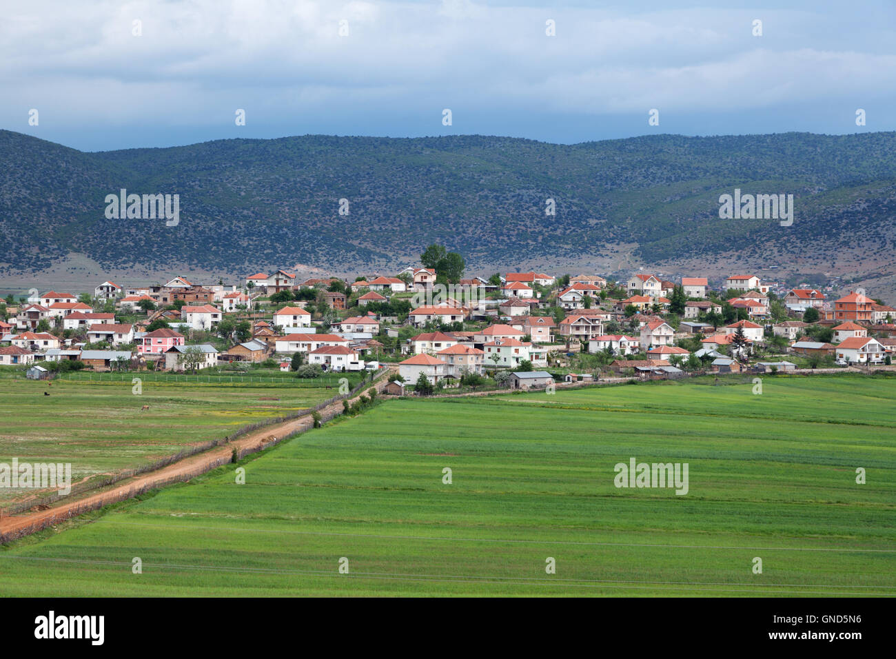 Ländliche Dorf Pustec, Prespasee, Albanien Stockfoto
