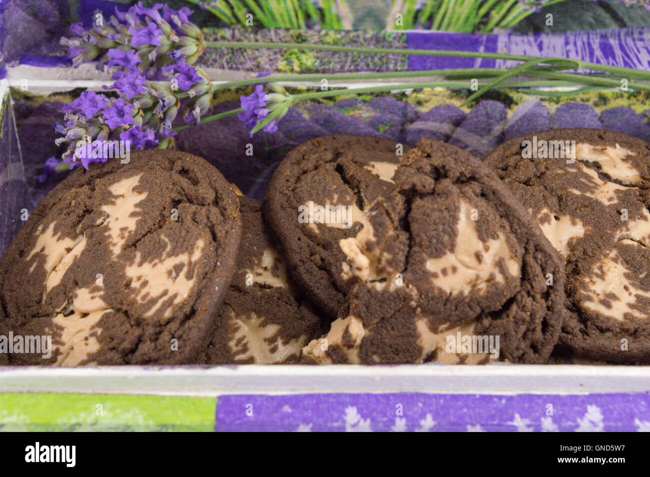 Schokoladen-Plätzchen in Lavendel dekoriert-box Stockfoto