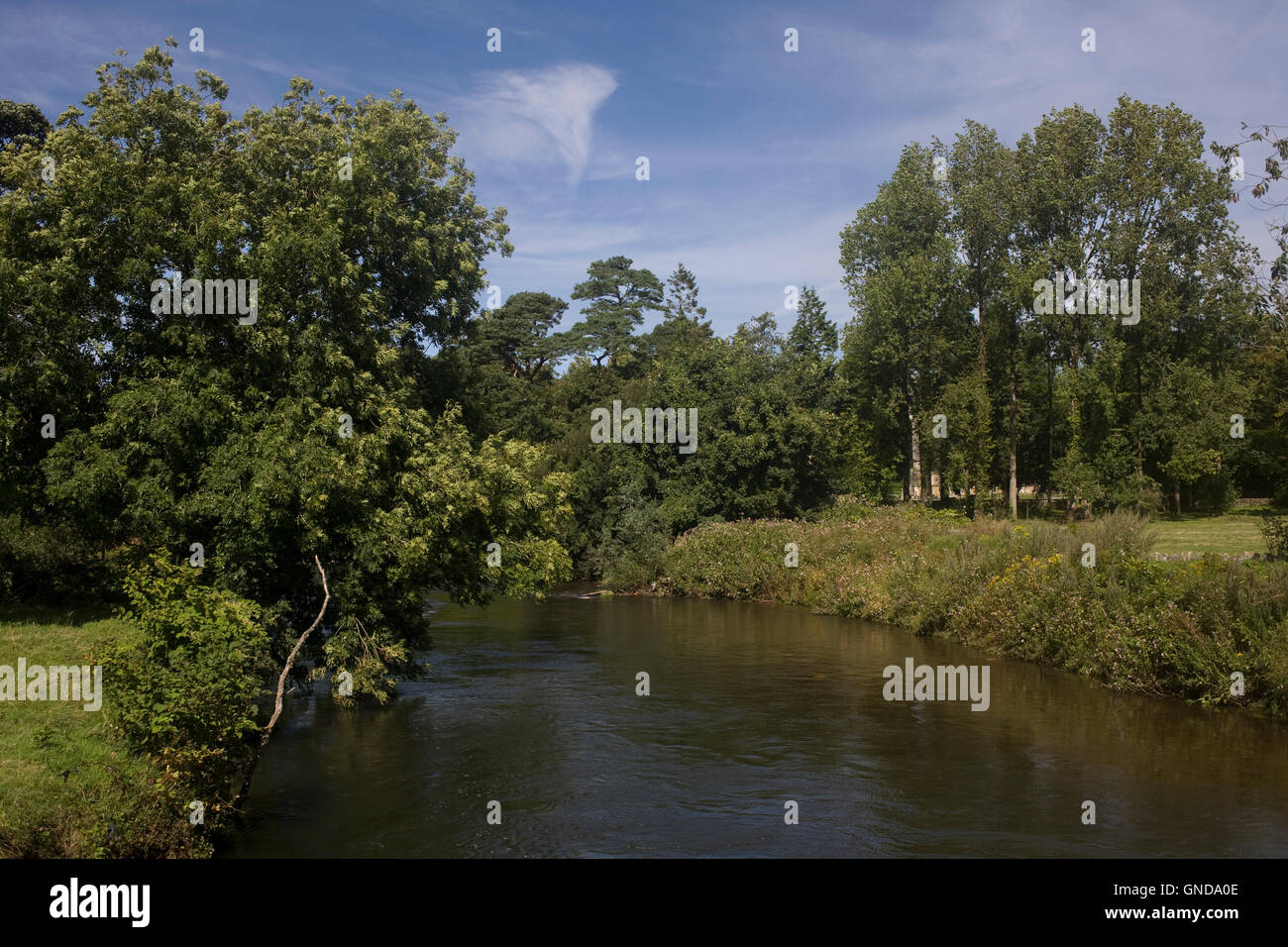 Ogmore Fluss am Merthyr Mawr mit üppiger Vegetation an seinen Ufern in der Höhe des Sommers Stockfoto