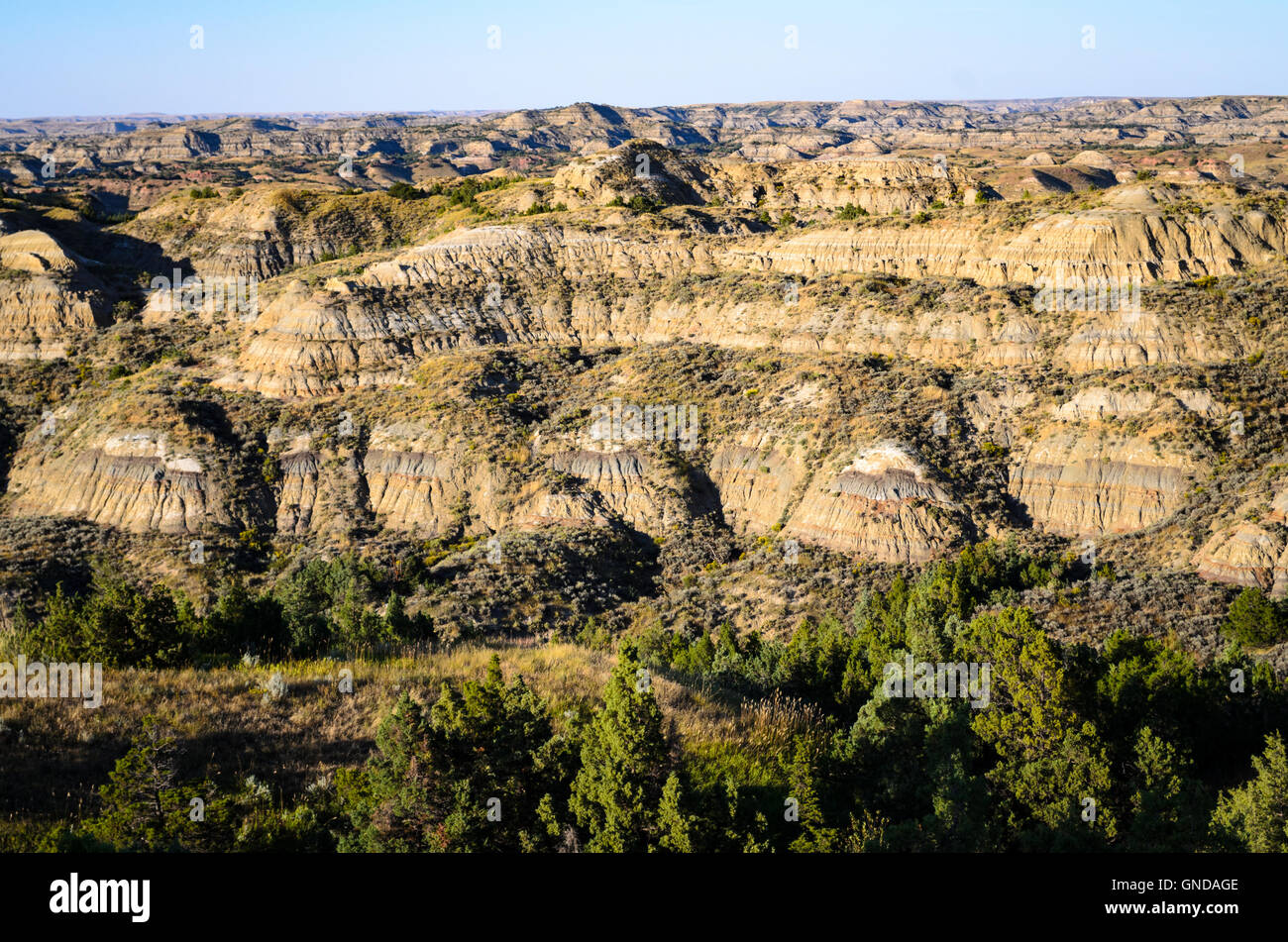 Theodore-Roosevelt-Nationalpark Stockfoto