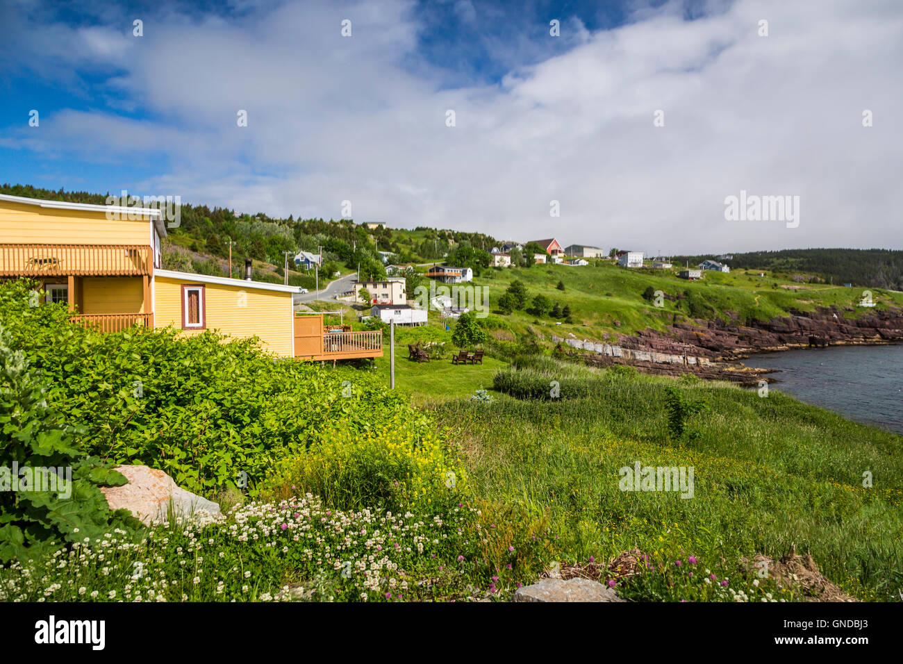 Das Dorf an der Küste von Flatrock, Neufundland und Labrador, Kanada. Stockfoto