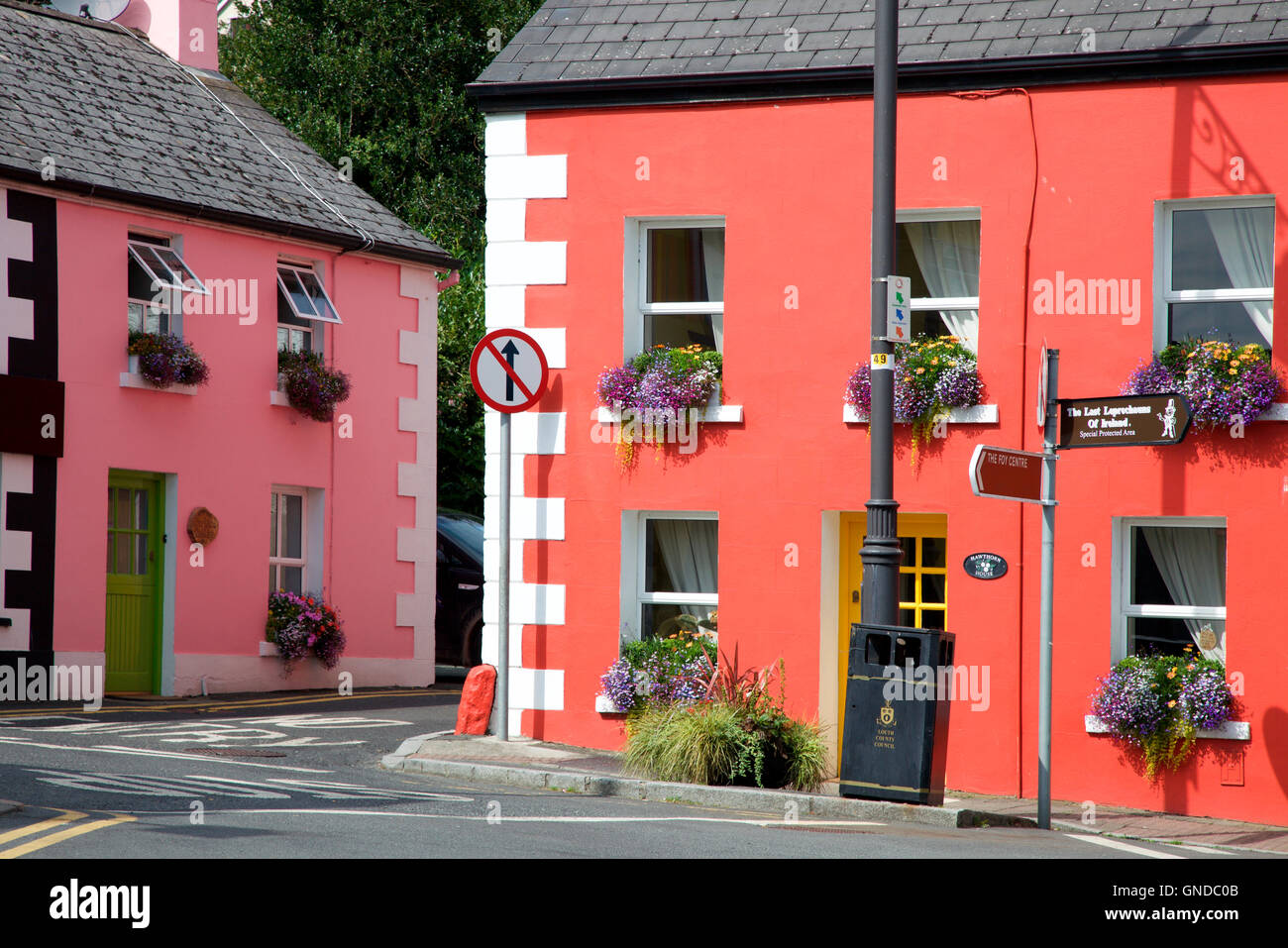 Weißdorn-Haus und Hof-Ferienhaus in der Grafschaft Louth Dorf Carlingford Stockfoto