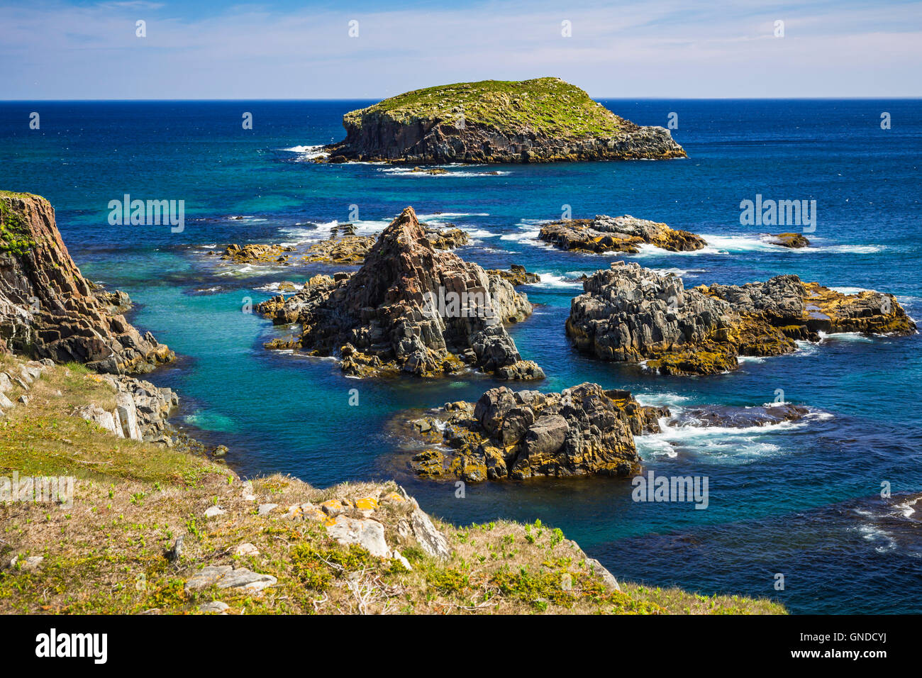 Offshore-Felsen und zerklüftete Küste bei Elliston, Neufundland und Labrador, Kanada. Stockfoto