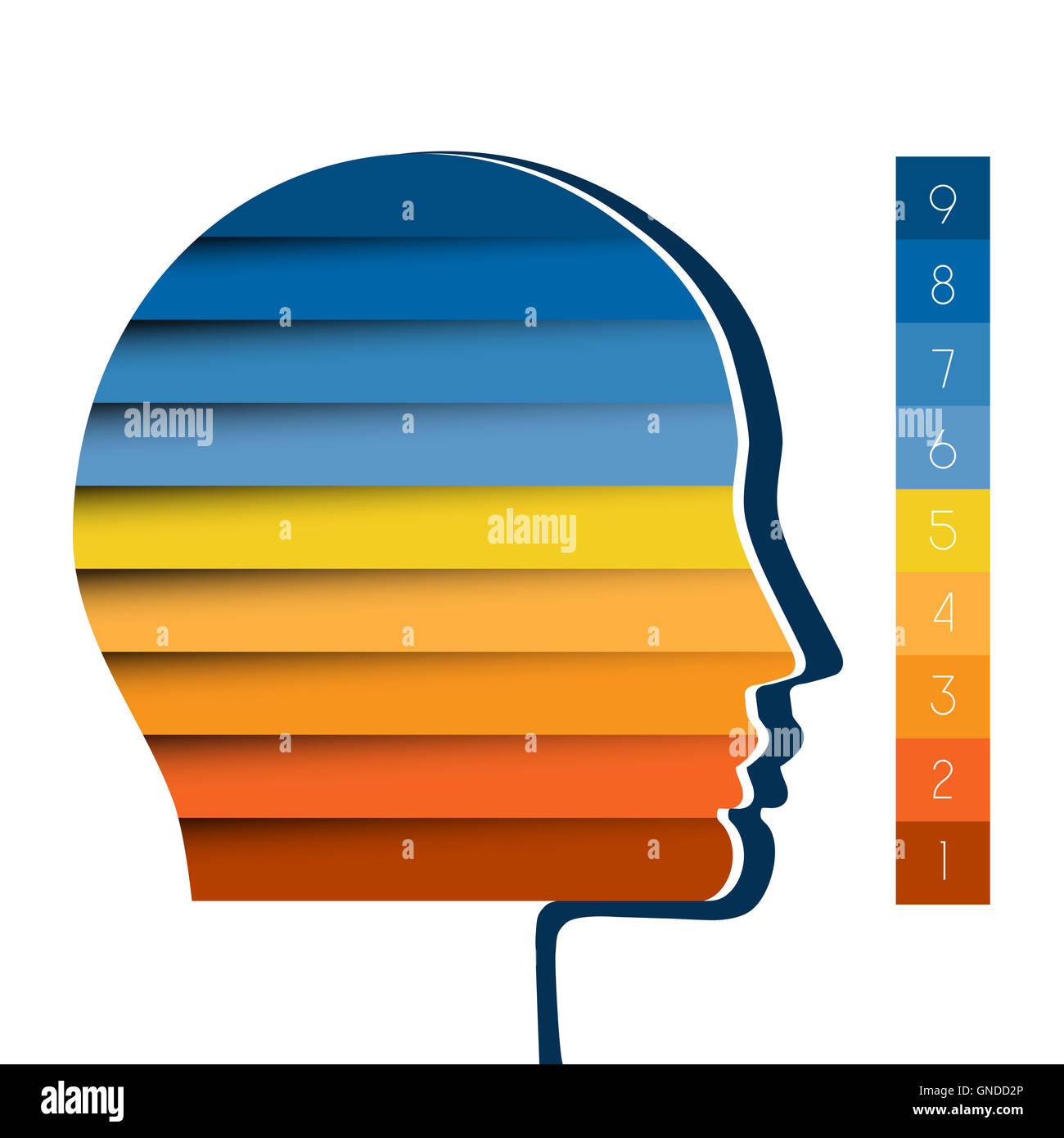 Vorlage-Infografik, Kopf der Person von Farbe Streifen, Start-Business-Konzept, Vorlage für neun Positionen, Schritte und Optionen Stockfoto