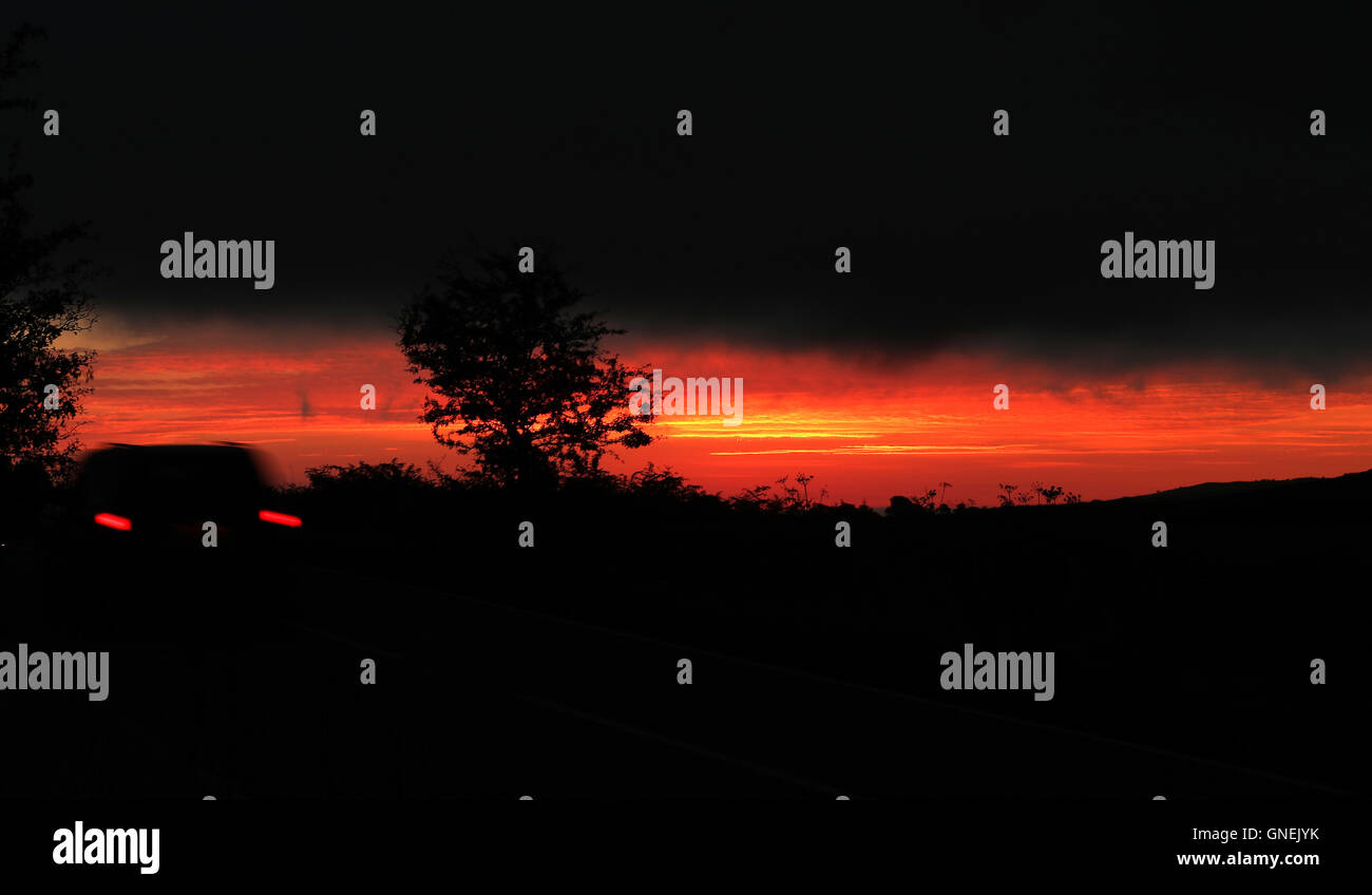Ein Baum ist Silhouette gegen den Himmel am frühen Morgen in Corwen, Wales. Stockfoto