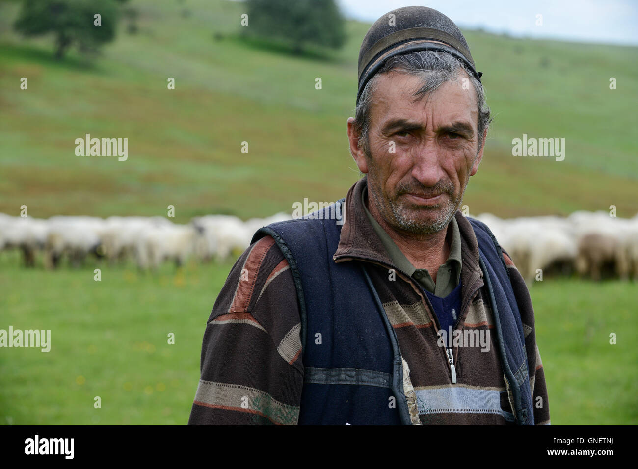 Rumänien Siebenbürgen Dorf Sura Mica, Schäfer mit Schafherde auf der Weide Stockfoto