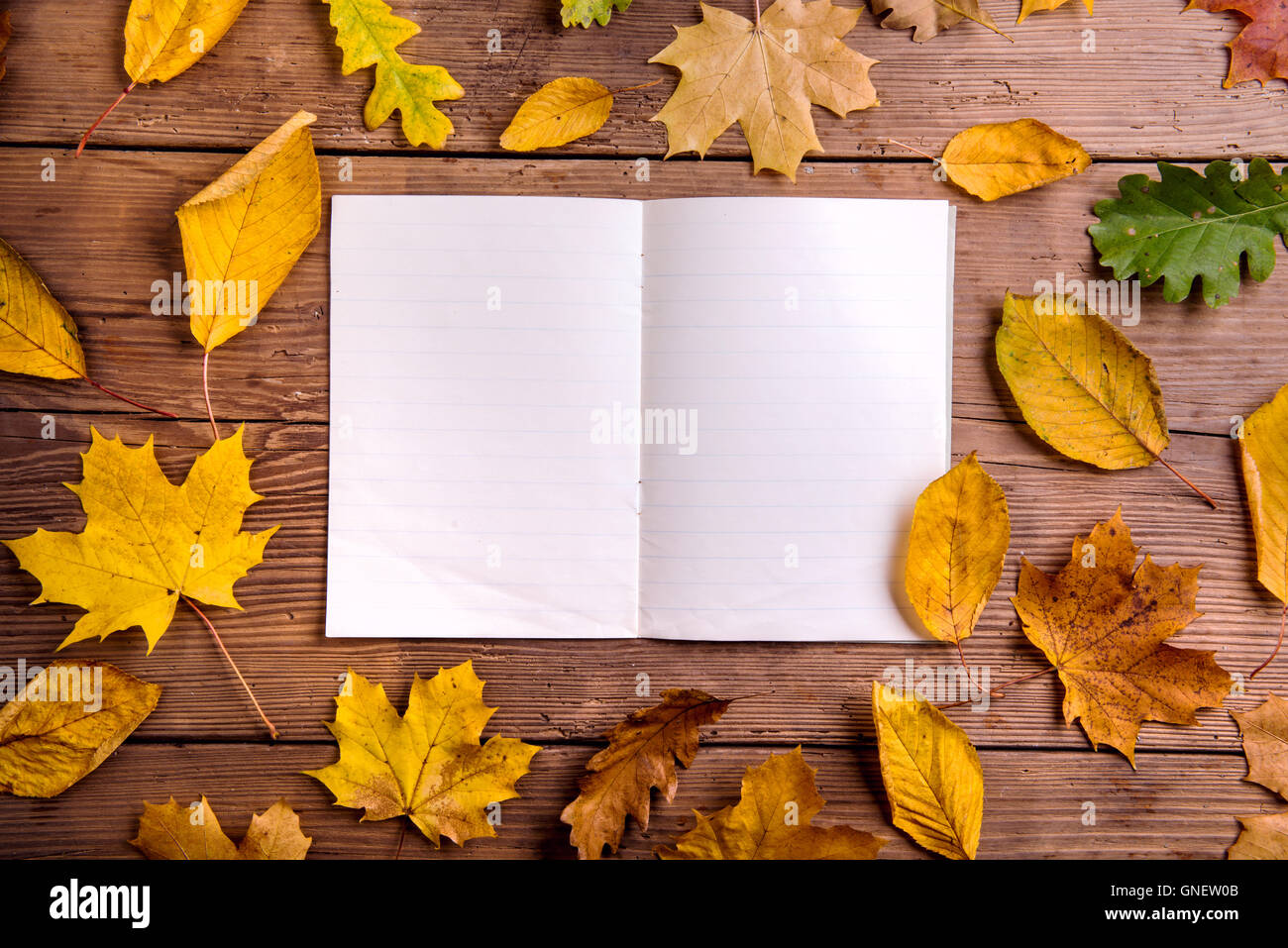 Herbst Blatt Zusammensetzung, Notebook. Studio gedreht, hölzerne zurück Stockfoto