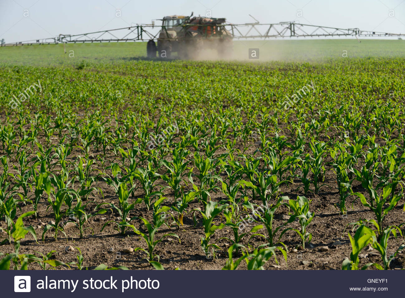 Landwirtschaft In Rumaenien Stockfotos & Landwirtschaft In Rumaenien