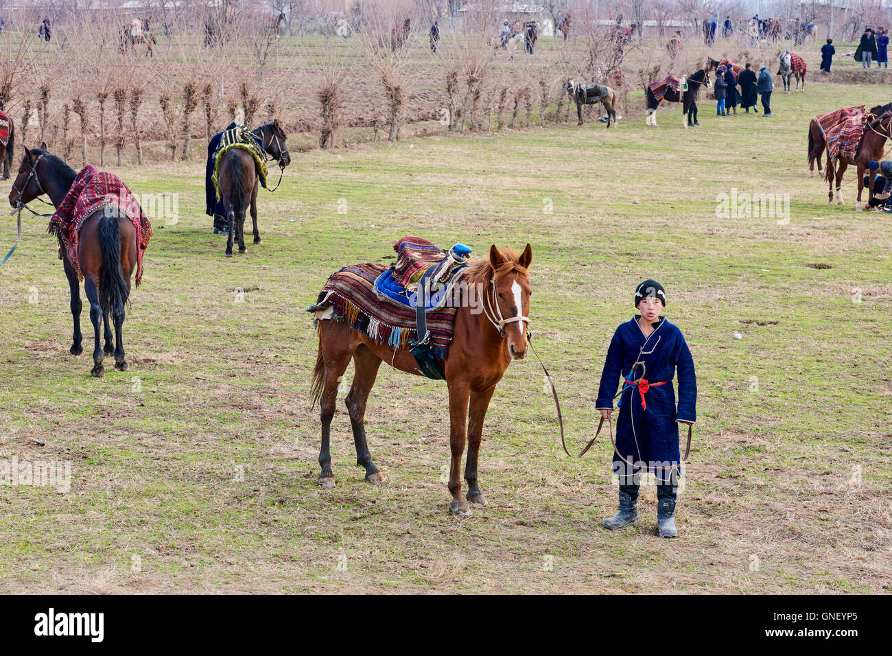 Usbekistan, Kachka Daria Provinz, Buzkashi, Reiter kämpfen für ein Schaf Körper Stockfoto