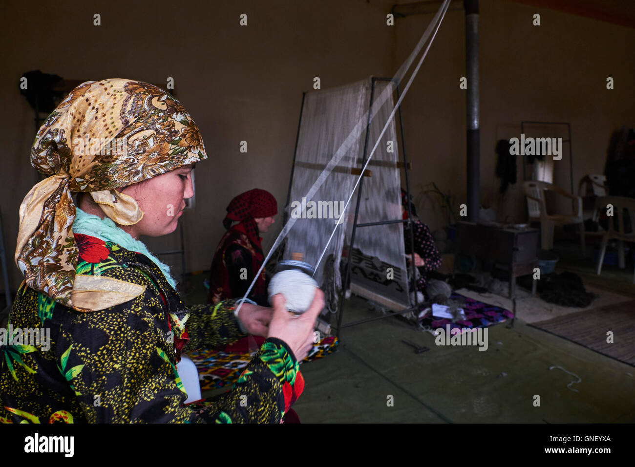 Usbekistan, Kachka Daria Provinz, Teppichwerkstatt Wolle, Wolle weben Stockfoto