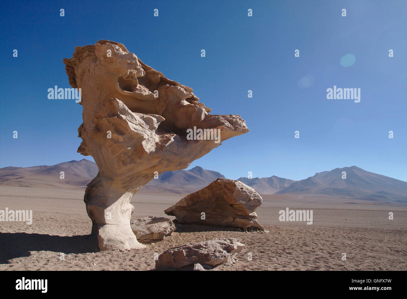 Mushroom Rock, Altiplano in der Nähe von Laguna Colorada in Bolivien Stockfoto