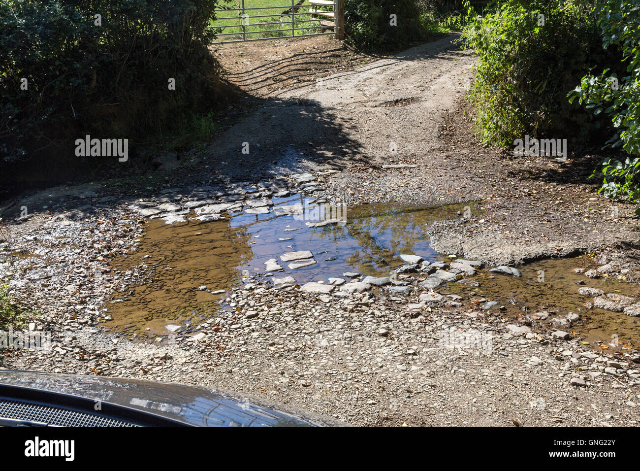 Trockenen Ford im mittleren Devon, Fluss, nass, Kreuz, Lane, Stream, Landschaft, Umweg, Flut, Englisch, Straße, Landschaft Stockfoto